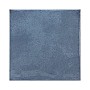 Blue Steel 15x15